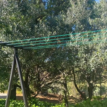 Petit Coin De Paradis En Provence Aups Bagian luar foto